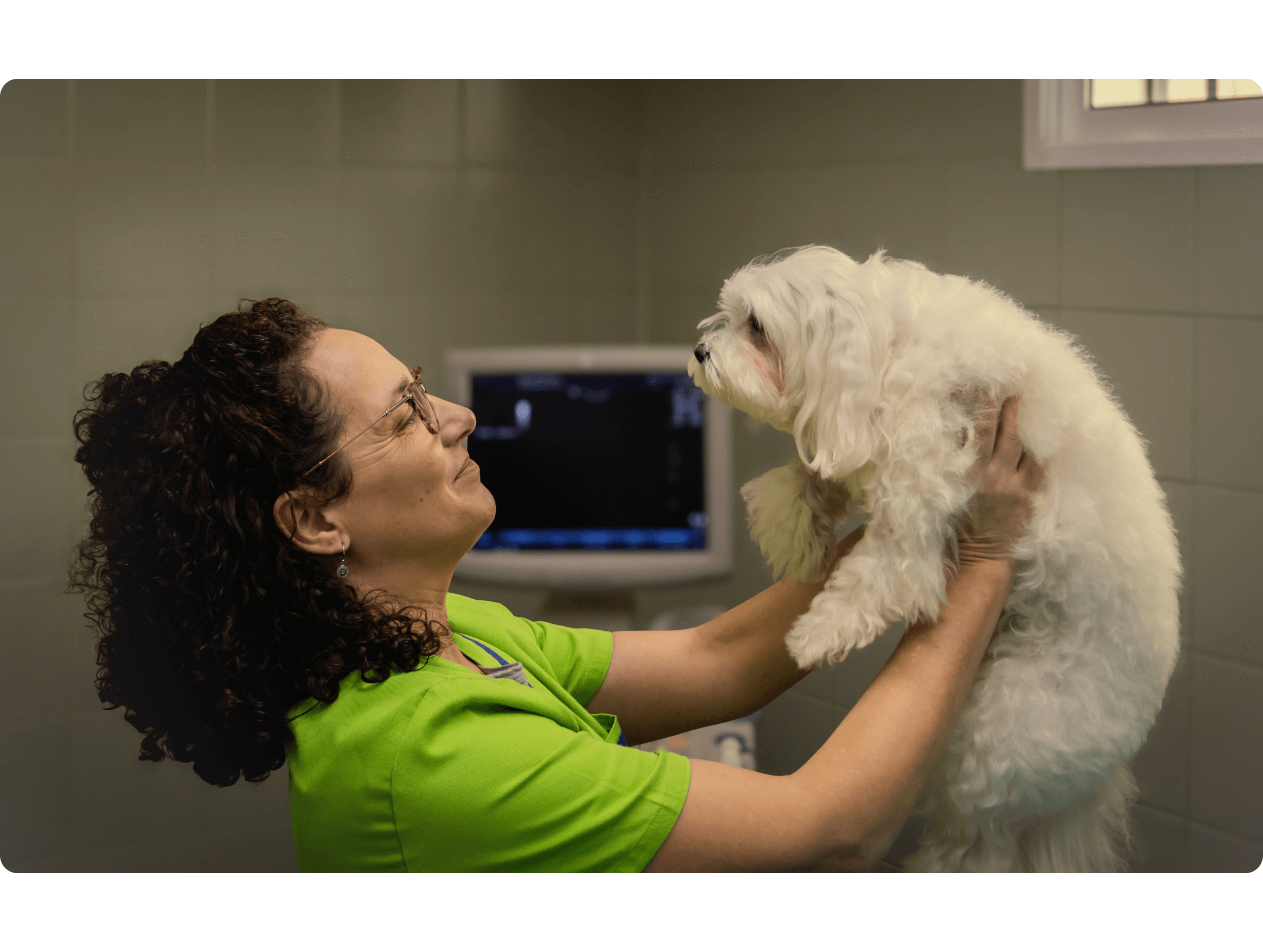 veterinaria otto can moraleja equipo veterinaria cristina