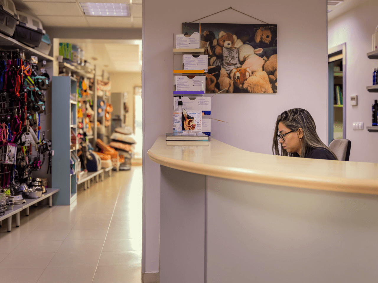 veterinaria otto can moraleja instalaciones recedpcion