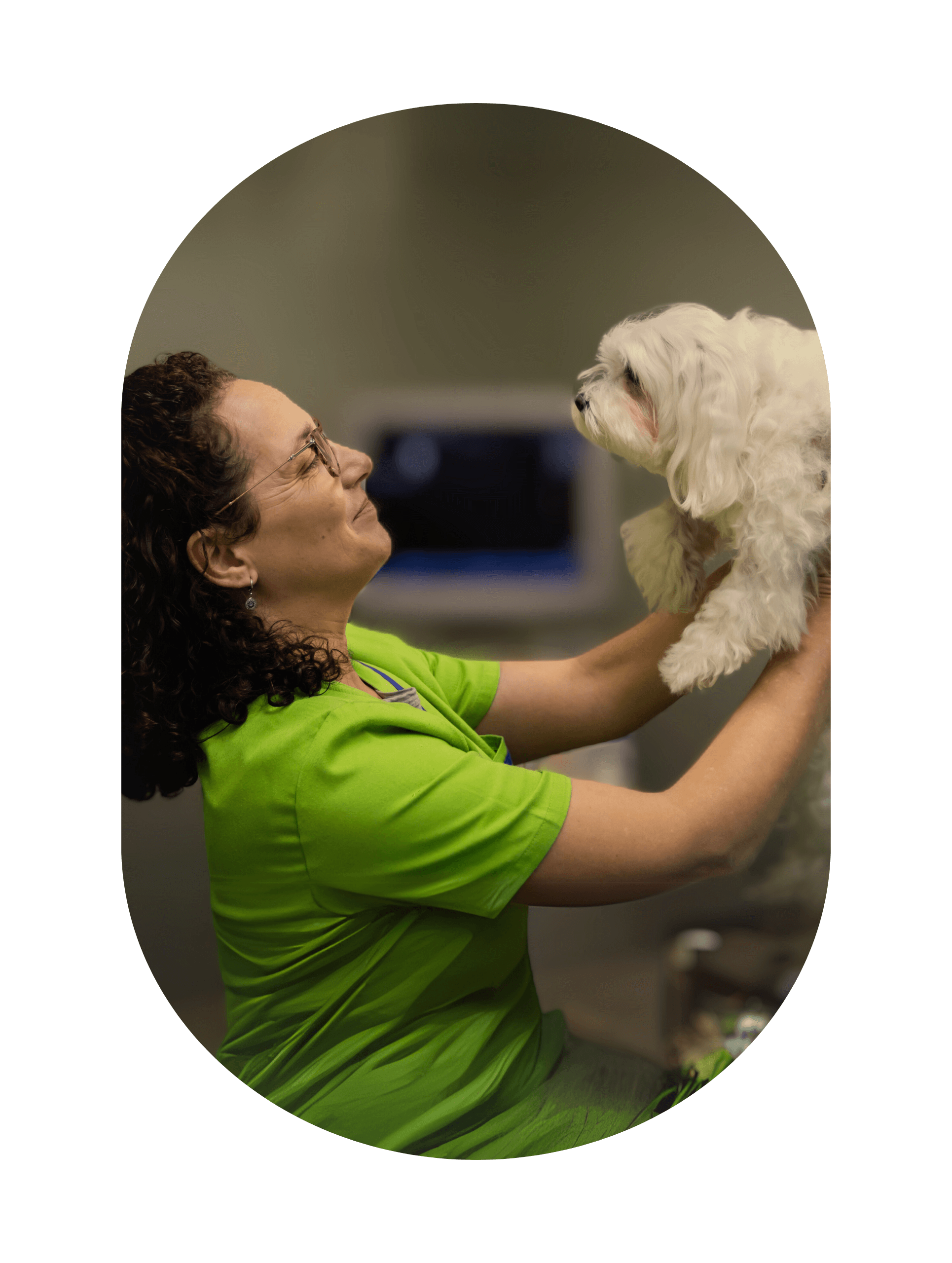 veterinaria otto can moraleja equipo veterinaria cristina mobile