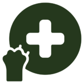 Bienestar animal valores otto can moraleja