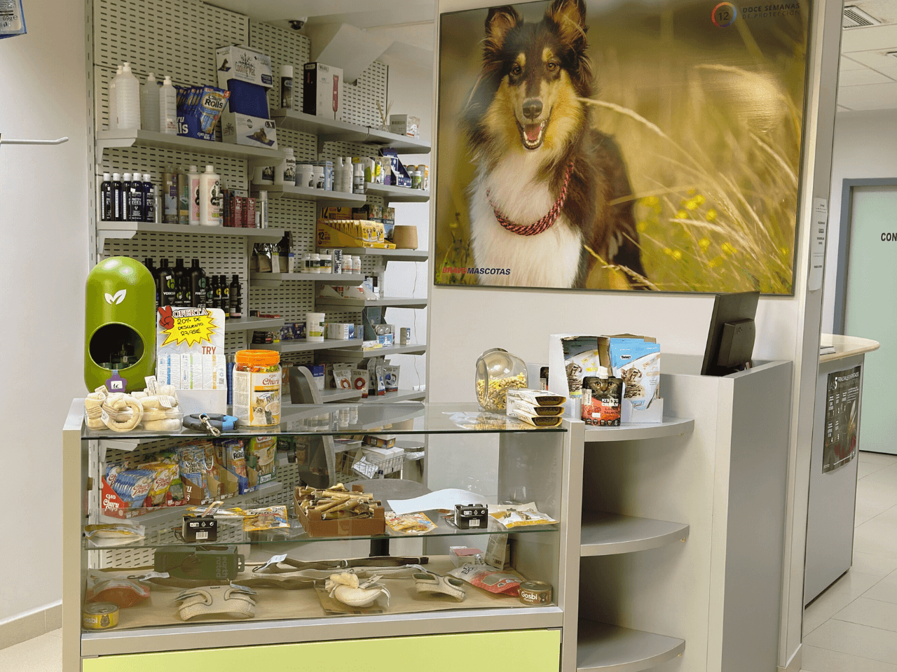 veterinaria otto can moraleja instalaciones