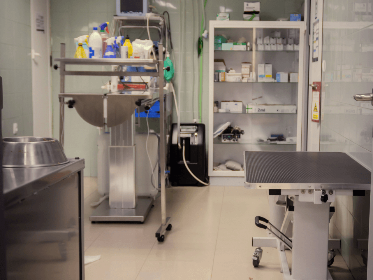 veterinaria otto can moraleja instalaciones consulta